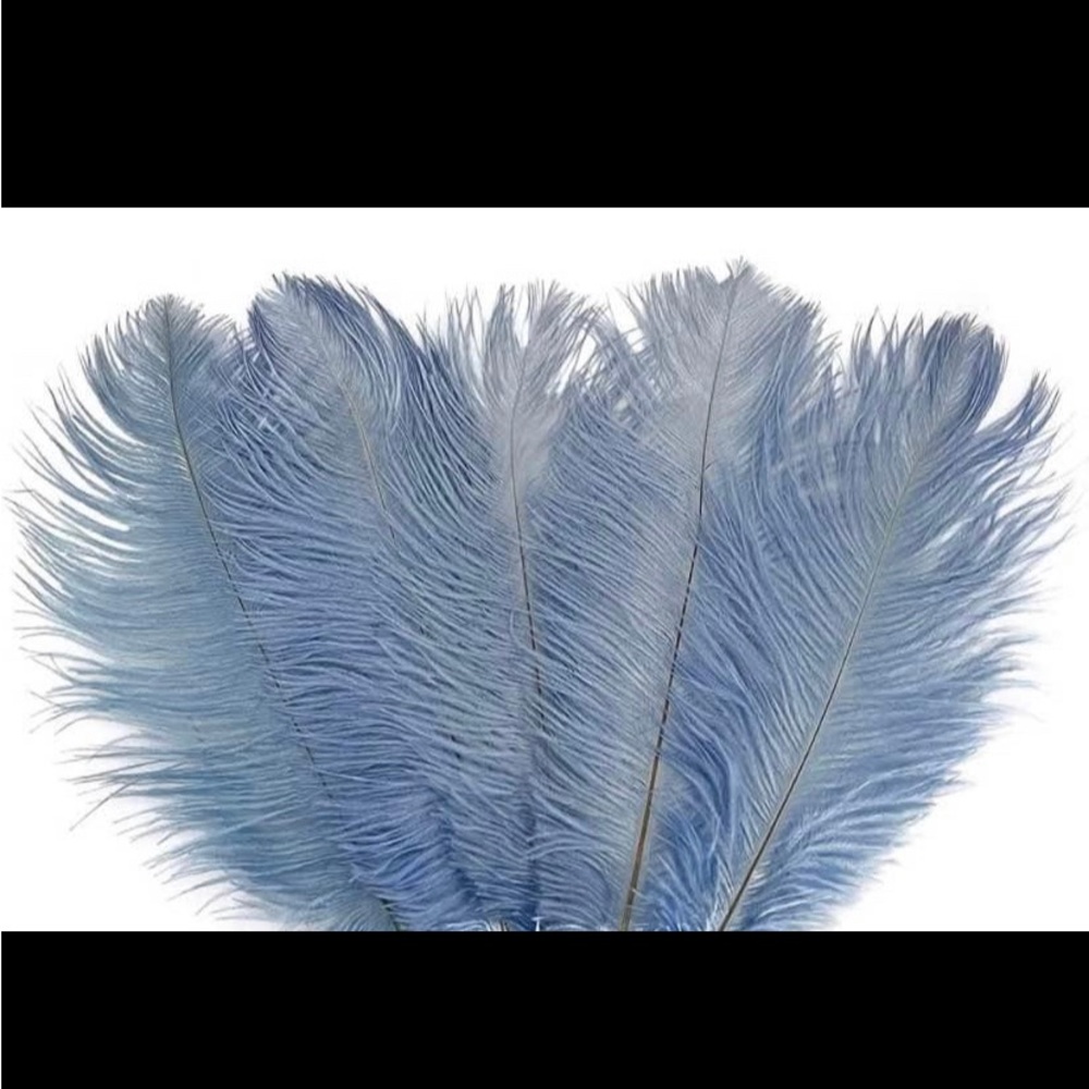 10 count | Dusty Blue Feathers size 12-14 inches Wedding Bouquet ParCenterpiece